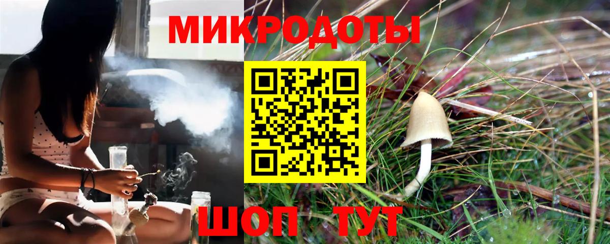 Качканар  как найти закладки  Вход с VPN  Галлюциногенные грибы Psilocybine cubensis 