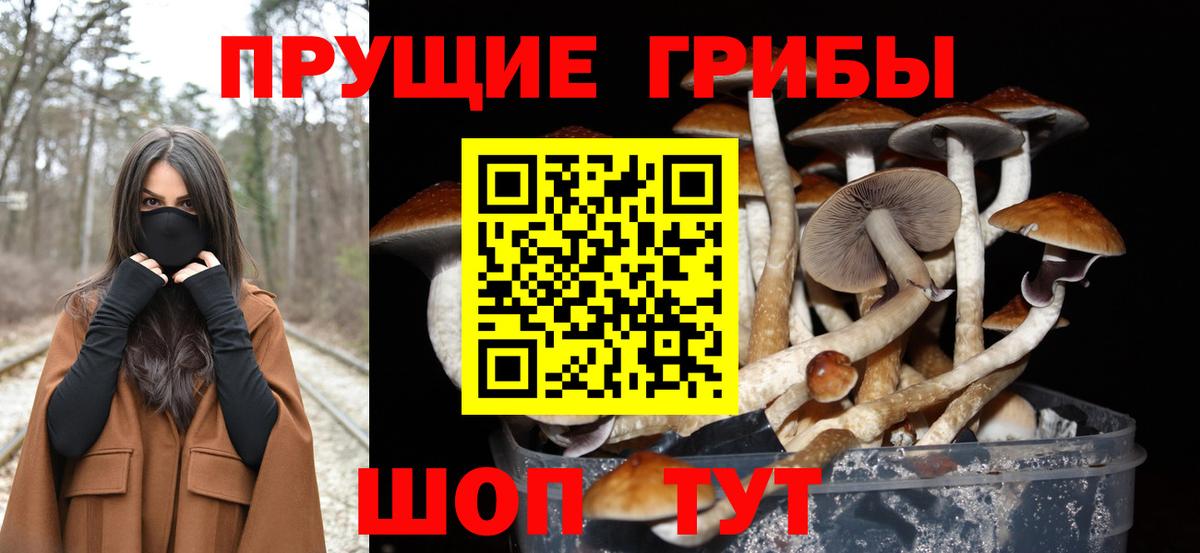 Каннабис Качканар